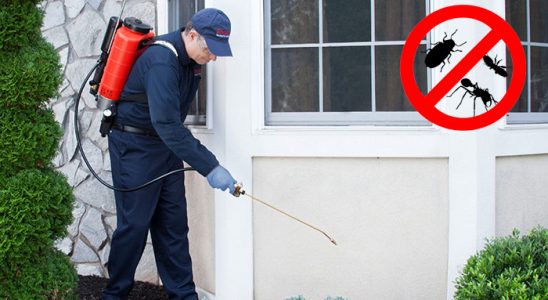 Nazilli Bit İlaçlama böcek ilaçlama ve haşere kontrolü — ilaclama-tr.com